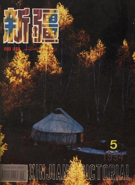新疆画报1994年第05期.pdf电子版_新疆维吾尔族自治区志