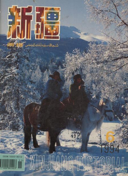 新疆画报1994年第06期.pdf电子版_新疆维吾尔族自治区志