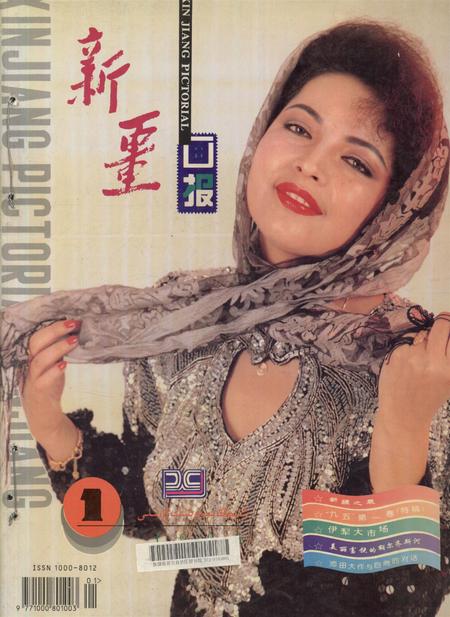 新疆画报1996年第01期.pdf电子版_新疆维吾尔族自治区志