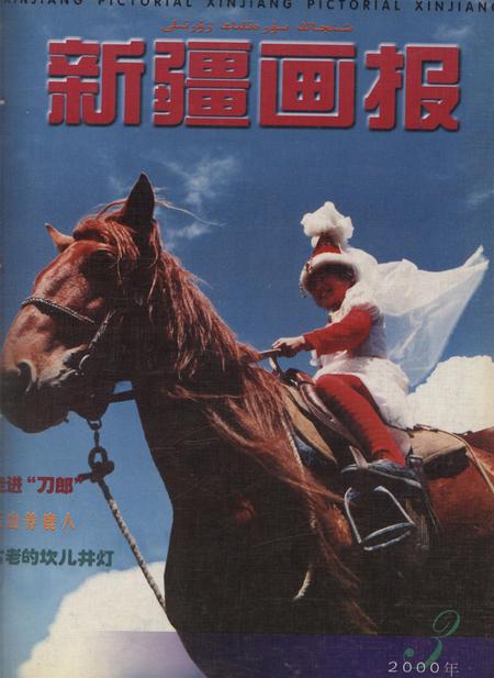 新疆画报2000年第03期.pdf电子版_新疆维吾尔族自治区志
