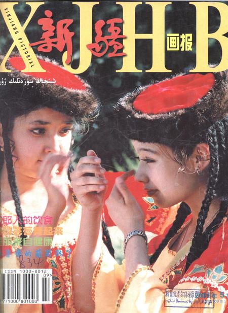 新疆画报2001年第05期.pdf电子版_新疆维吾尔族自治区志