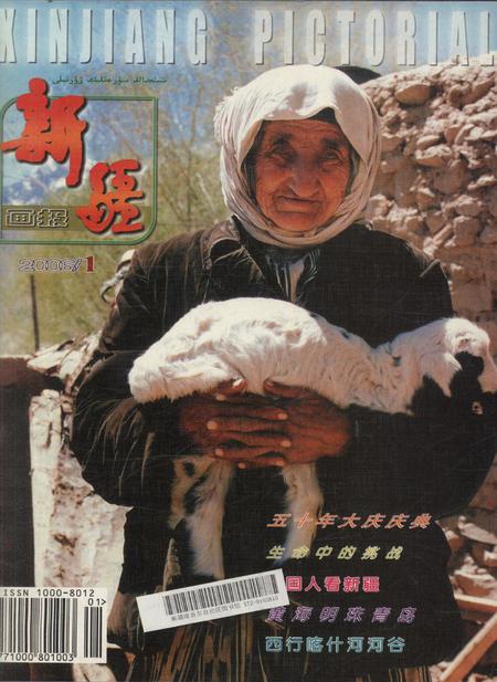 新疆画报2006年第01期.pdf电子版_新疆维吾尔族自治区志
