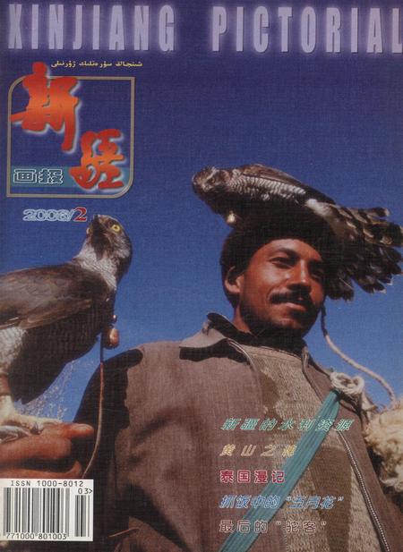 新疆画报2006年第02期.pdf电子版_新疆维吾尔族自治区志