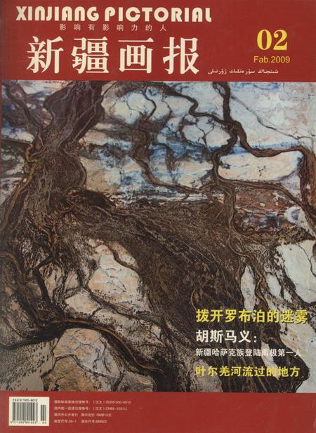 新疆画报2009年第02期.pdf电子版_新疆维吾尔族自治区志