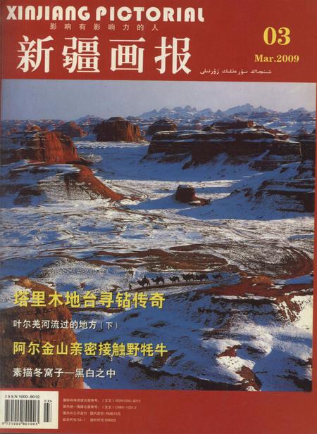 新疆画报2009年第03期.pdf电子版_新疆维吾尔族自治区志