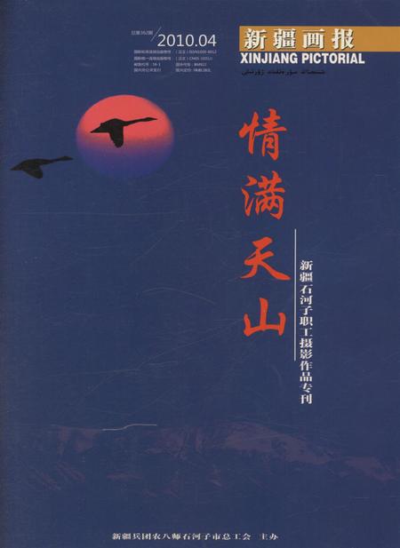 新疆画报2010年第04期.pdf电子版_新疆维吾尔族自治区志