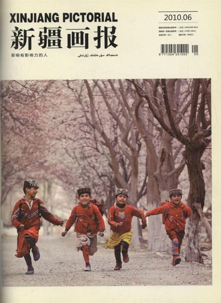 新疆画报2010年第06期.pdf电子版_新疆维吾尔族自治区志