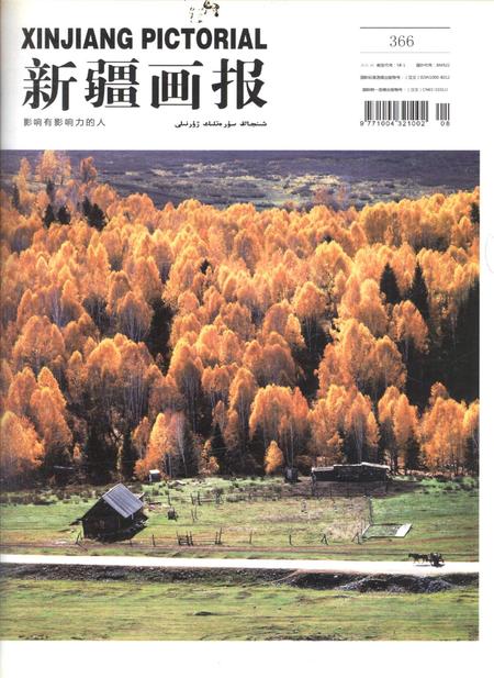 新疆画报2010年第08期.pdf电子版_新疆维吾尔族自治区志