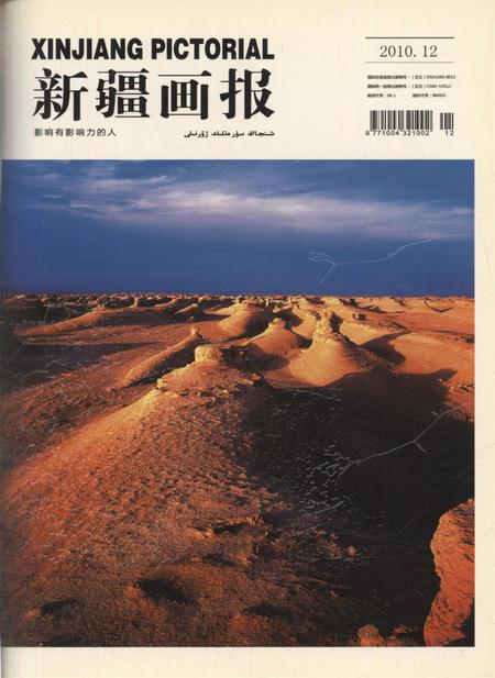 新疆画报2010年第12期.pdf电子版_新疆维吾尔族自治区志