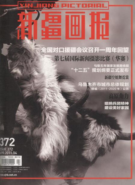 新疆画报2011年第04期.pdf电子版_新疆维吾尔族自治区志