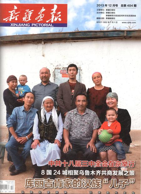新疆画报2013年第12期.pdf电子版_新疆维吾尔族自治区志