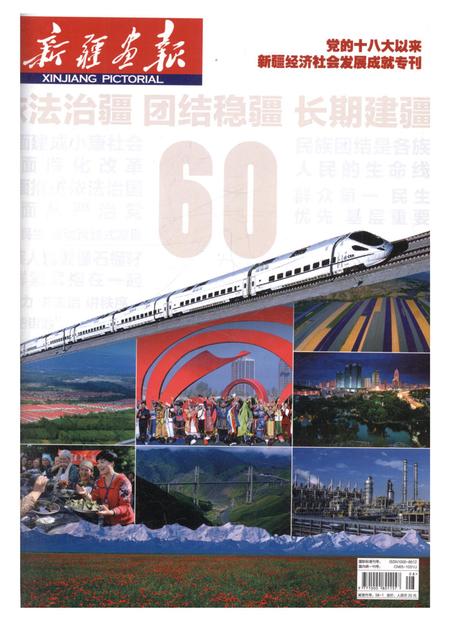 新疆画报2015年第08期.pdf电子版_新疆维吾尔族自治区志