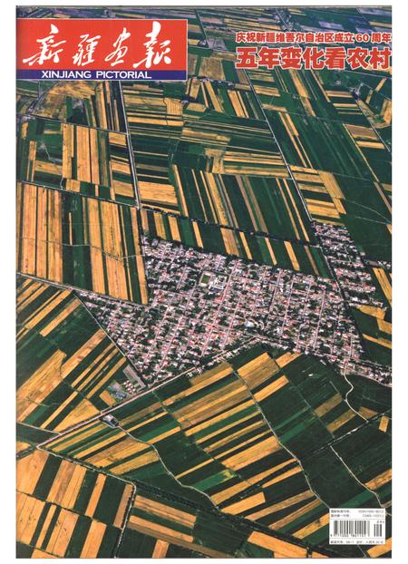 新疆画报2015年第09期.pdf电子版_新疆维吾尔族自治区志