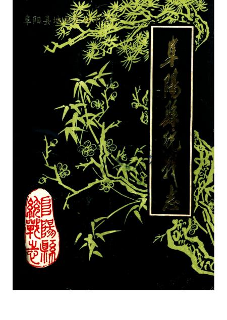 1985版阜阳县统战志.pdf电子版_安徽省志