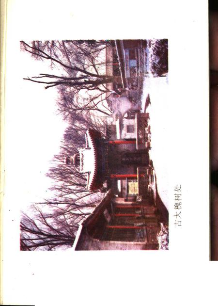 1988-洪洞古大槐树志.pdf电子版_山西省志插图1