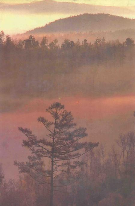 1993-扎兰屯市志.pdf电子版_内蒙古志插图1