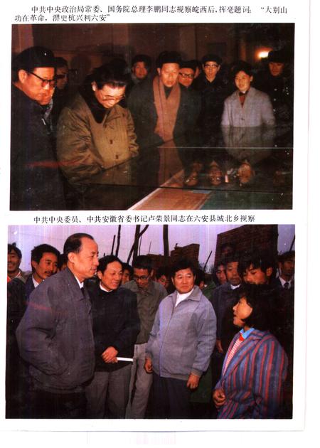 1993版六安县志.pdf电子版_安徽省志插图1