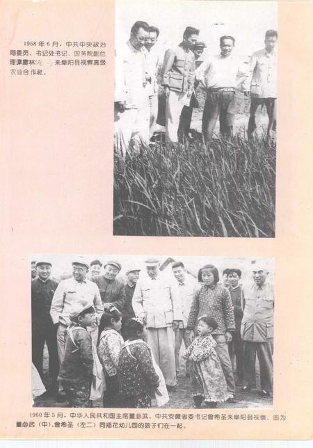 1994版阜阳县志.pdf电子版_安徽省志插图1