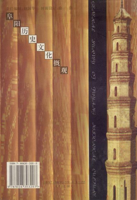 1998版阜阳历史文化概观.pdf电子版_安徽省志插图1
