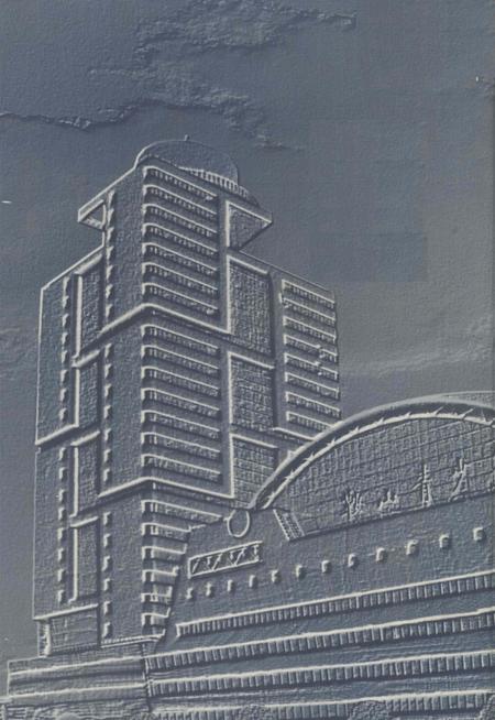 1999-共青团鞍山市志.pdf电子版_辽宁省志插图1