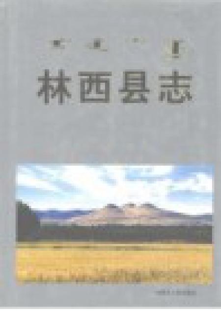 1999-林西县志.pdf电子版_内蒙古志插图1