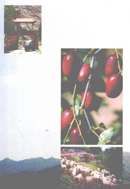 1999-永和县志.pdf电子版_山西省志插图1