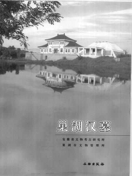 2007版巢湖汉墓.pdf电子版_安徽省志插图1