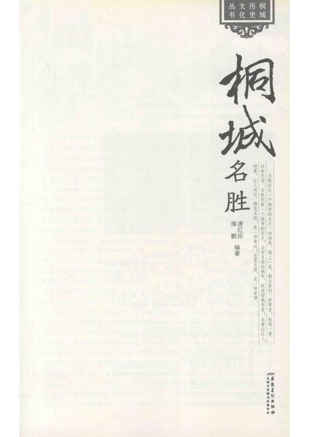 2011版桐城名胜.pdf电子版_安徽省志插图1