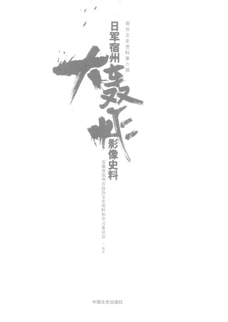 2015版宿州文史资料  日军宿州大轰炸影像史料.pdf电子版_安徽省志插图1