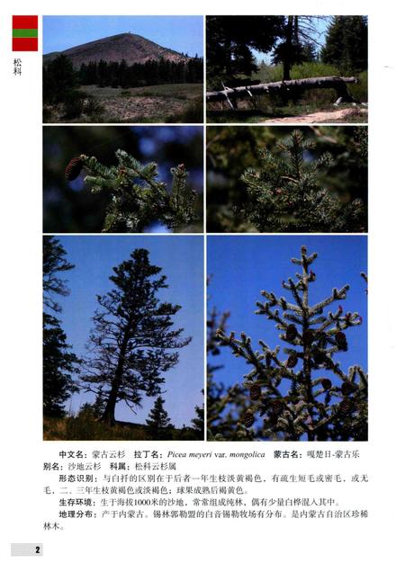 2016-内蒙古自治区锡林郭勒盟木本植物图鉴.pdf电子版_内蒙古志插图1
