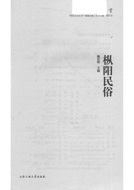 2017版枞阳民俗.pdf电子版_安徽省志插图1