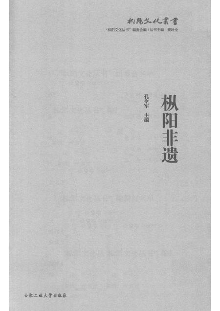 2017版枞阳非遗.pdf电子版_安徽省志插图1