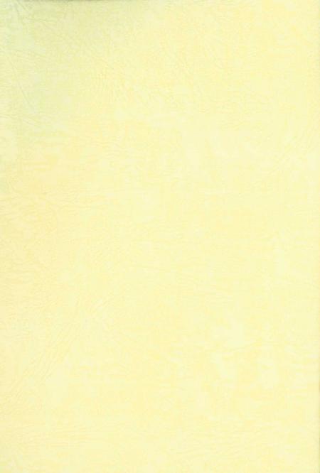 三八五旅在庆阳(下).pdf电子版_甘肃省志插图1