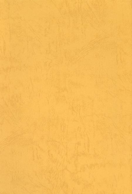 中共静宁地方党史大事记（1966.5-2008.12）.pdf电子版_甘肃省志插图1