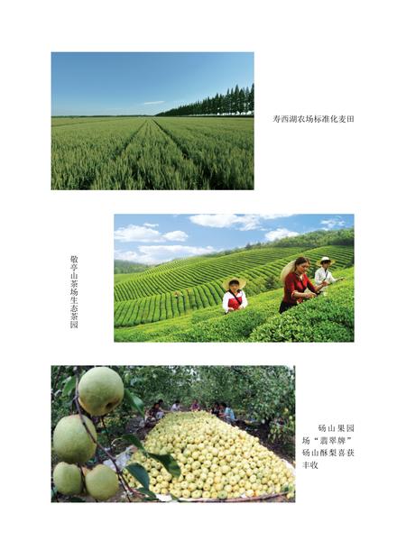 安徽省志农垦志.pdf电子版_安徽省志插图1