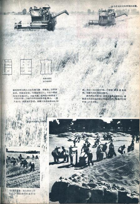 新疆画报1960年第08期.pdf电子版_新疆维吾尔族自治区志插图1