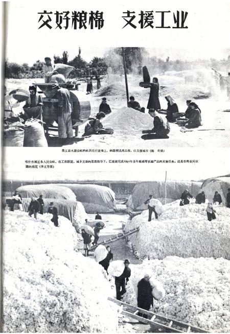 新疆画报1962年第02期.pdf电子版_新疆维吾尔族自治区志插图1