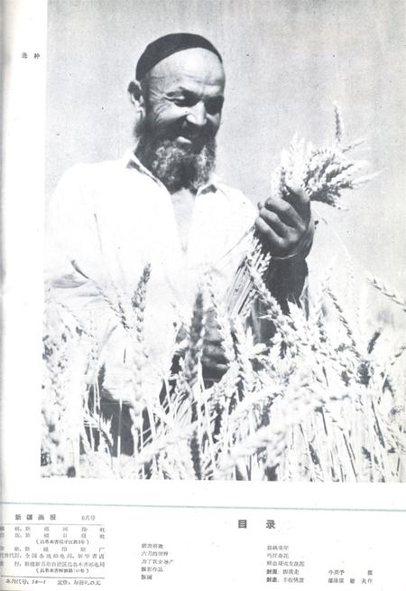 新疆画报1962年第06期.pdf电子版_新疆维吾尔族自治区志插图1