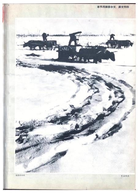 新疆画报1963年第01期.pdf电子版_新疆维吾尔族自治区志插图1