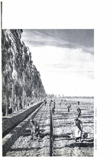 新疆画报1965年第02期.pdf电子版_新疆维吾尔族自治区志插图1