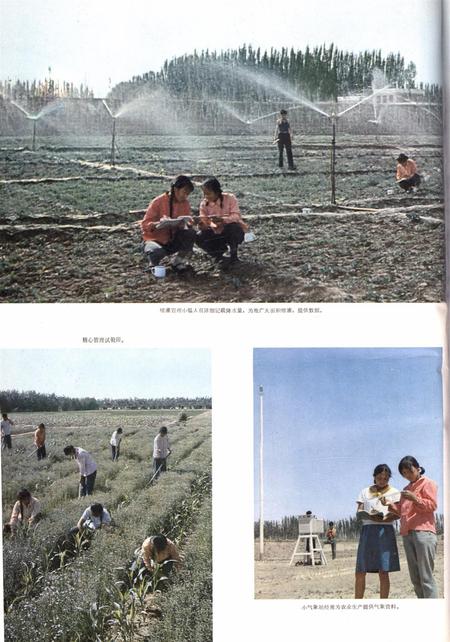 新疆画报1979年第03期.pdf电子版_新疆维吾尔族自治区志插图1