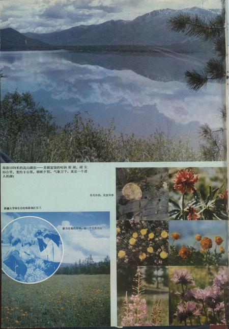 新疆画报1981年第01期.pdf电子版_新疆维吾尔族自治区志插图1