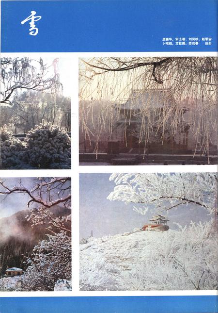 新疆画报1981年第02期.pdf电子版_新疆维吾尔族自治区志插图1