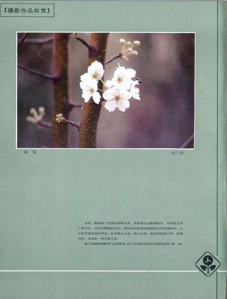 新疆画报1989年第04期.pdf电子版_新疆维吾尔族自治区志插图1