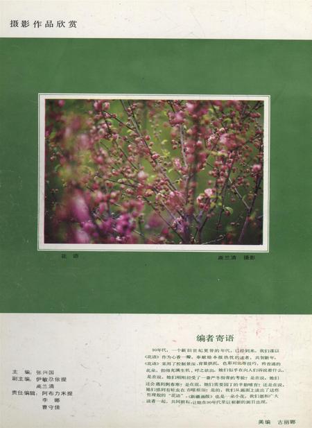 新疆画报1990年第01期.pdf电子版_新疆维吾尔族自治区志插图1