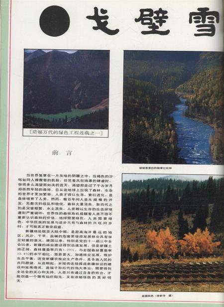 新疆画报1992年第03期.pdf电子版_新疆维吾尔族自治区志插图1