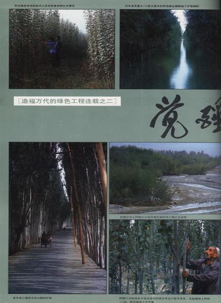 新疆画报1992年第04期.pdf电子版_新疆维吾尔族自治区志插图1