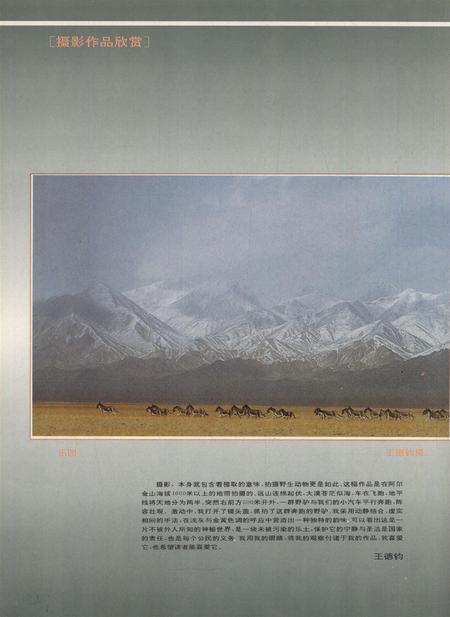 新疆画报1994年第03期.pdf电子版_新疆维吾尔族自治区志插图1