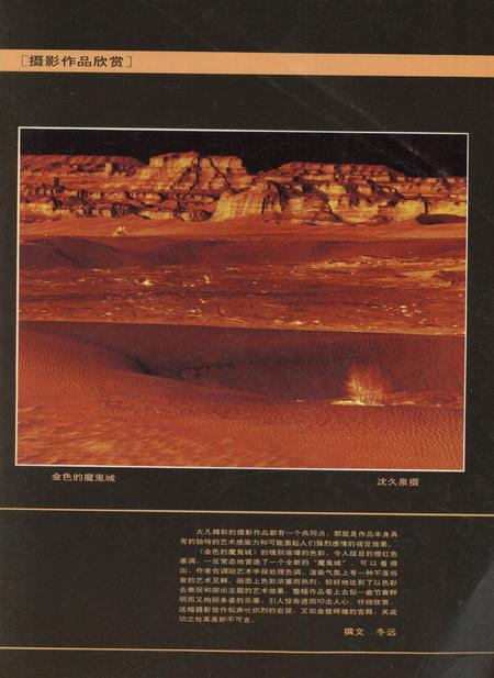 新疆画报1995年第01期.pdf电子版_新疆维吾尔族自治区志插图1