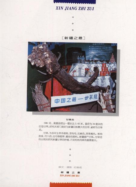 新疆画报1997年第05期.pdf电子版_新疆维吾尔族自治区志插图1